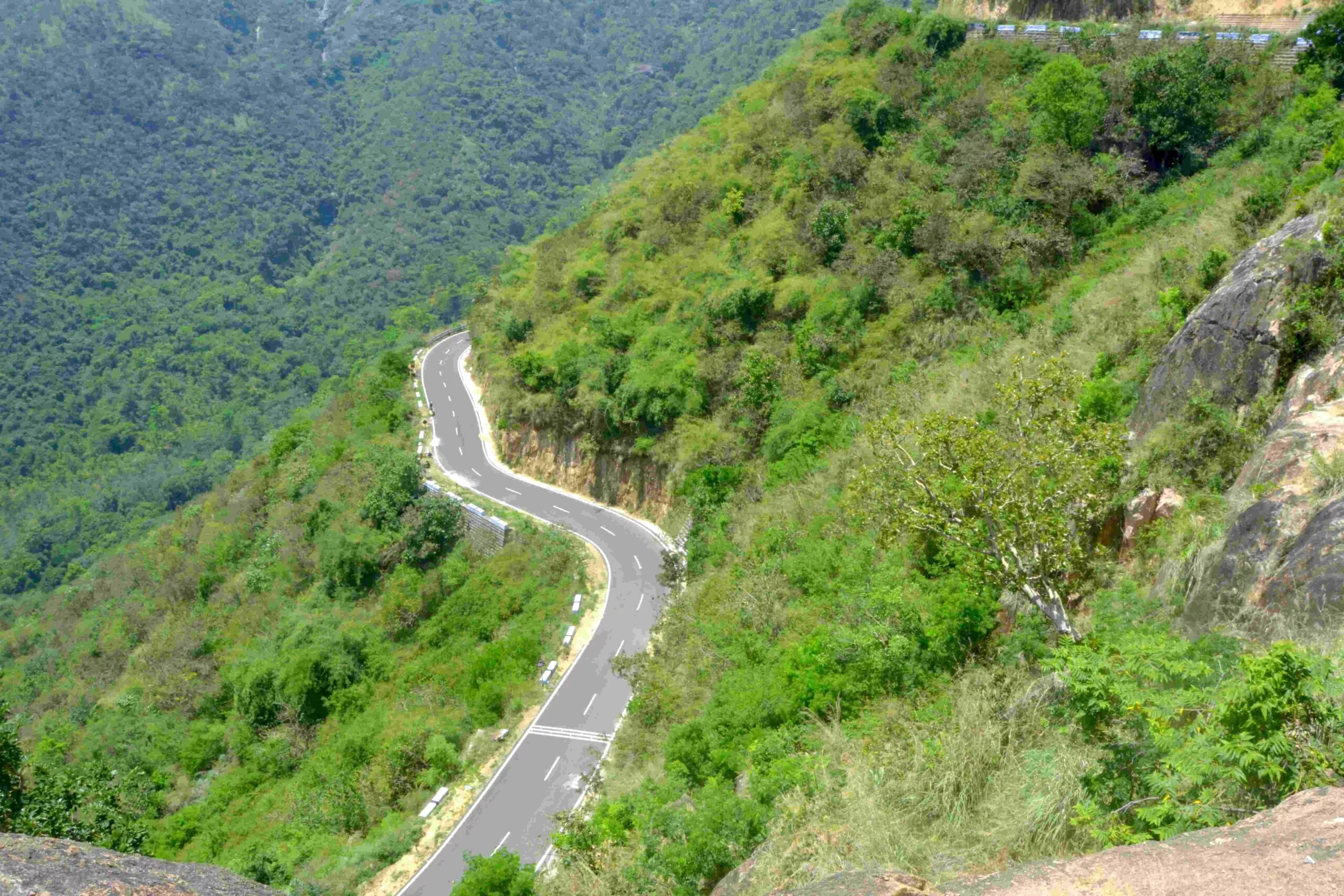 Plan Your Trip from Chennai to Munnar by road