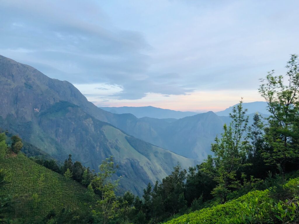 Anamudi Peak Munnar