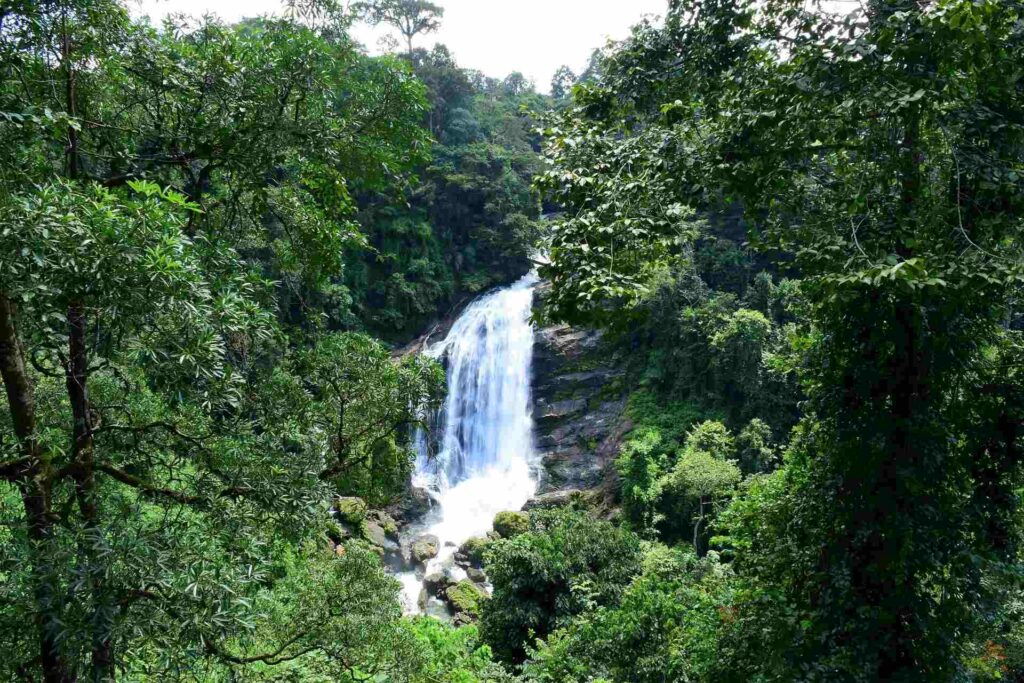 Attukad Waterfalls Munnar