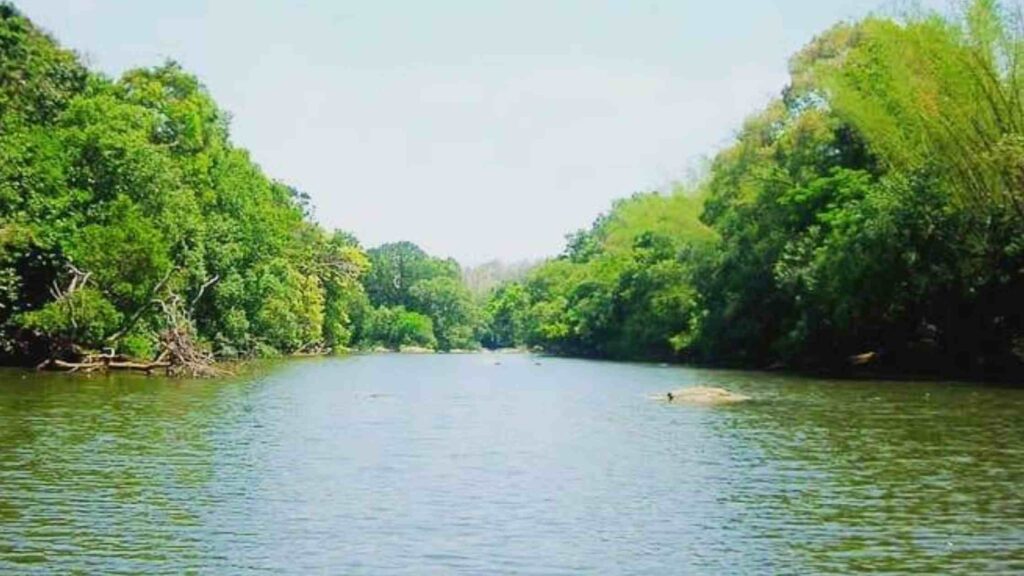 Kuruva Island Wayanad