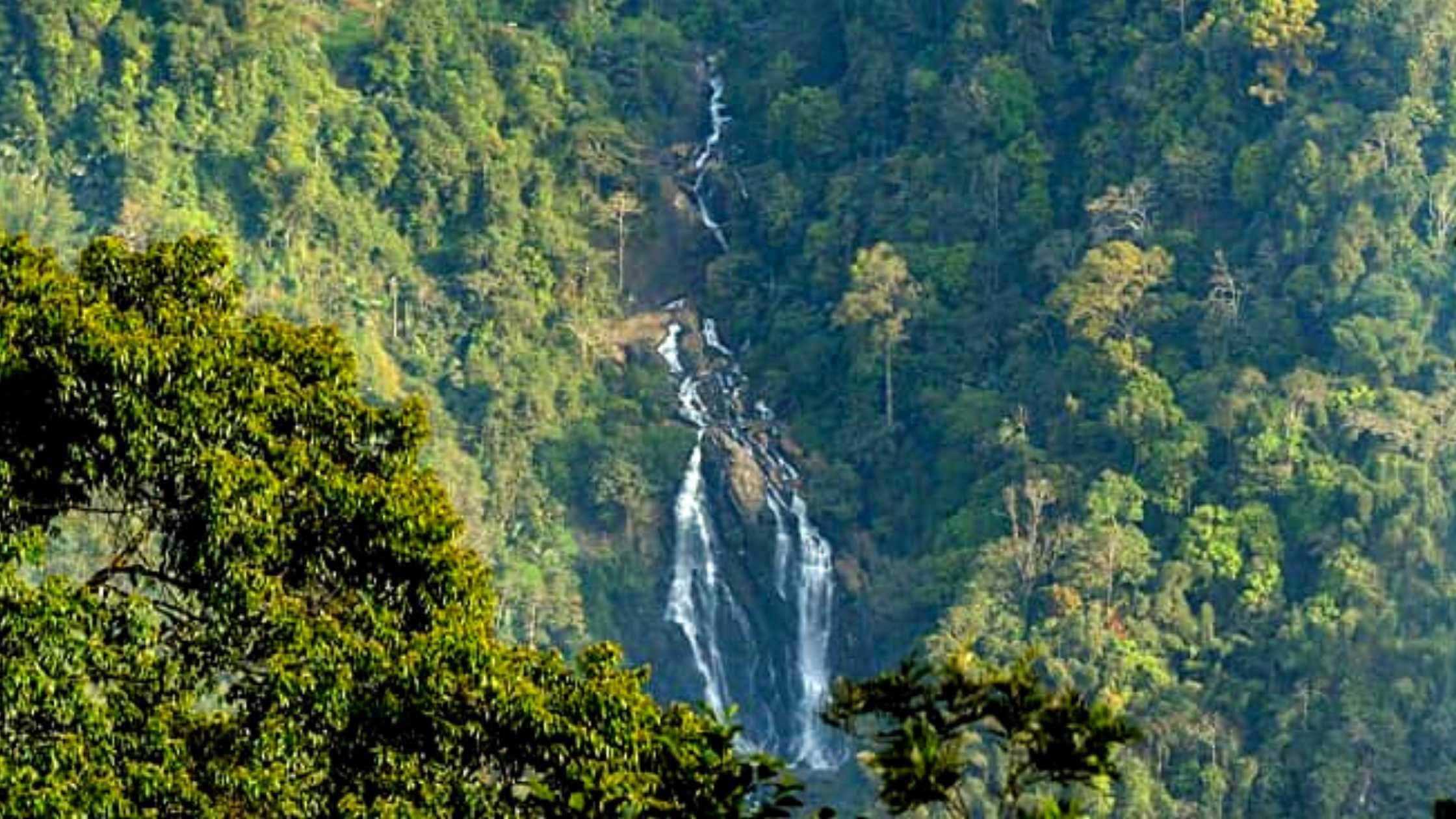 Neelimala View Point Wayanad, Kerala