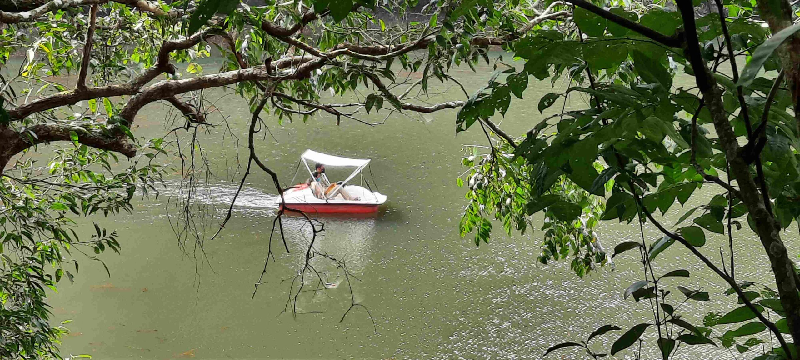 Pookode Lake Wayanad Kerala