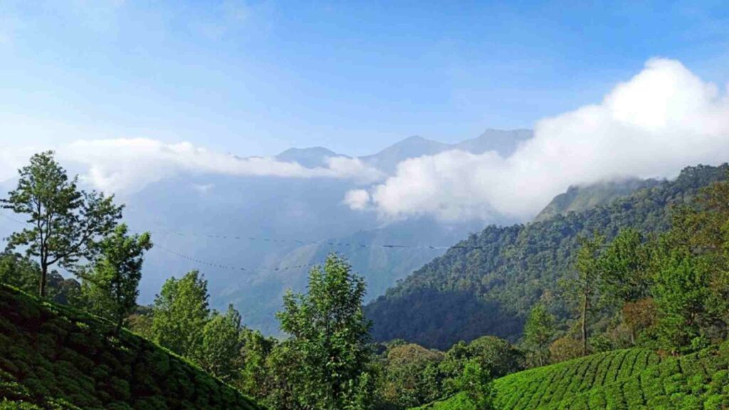 Top Station Munnar