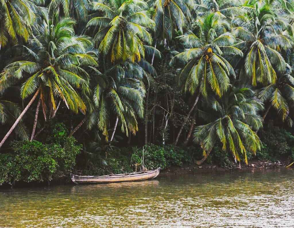 Kadavu Island Calicut