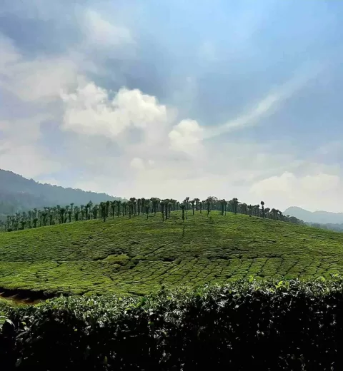 Thindillam Waterfalls