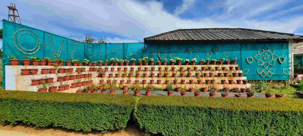 Orange and Vegetable Farm Nelliyampathy