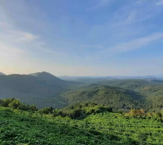 Mini Ooty