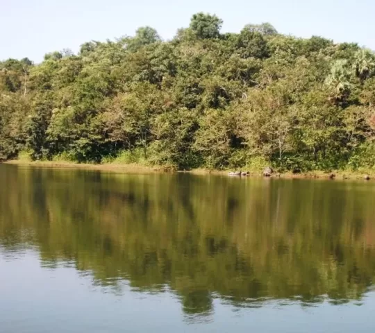 Asurankundu Dam