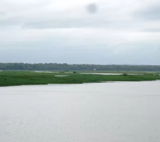 Bharathappuzha River