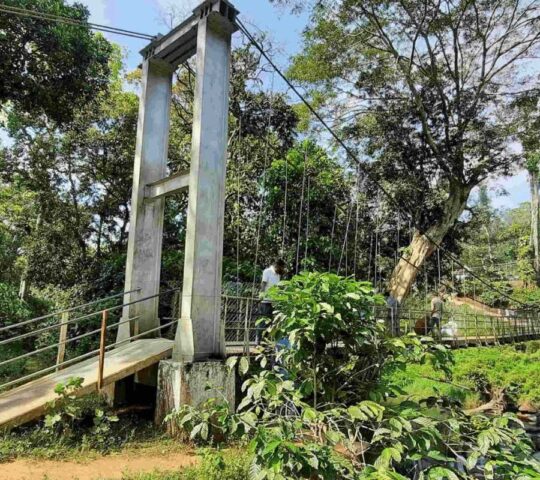 Karappara Hanging Bridge Nelliyampathy