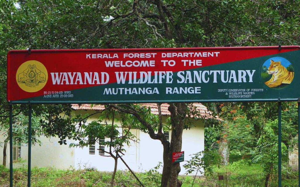 Wayanad Wildlife Sanctuary