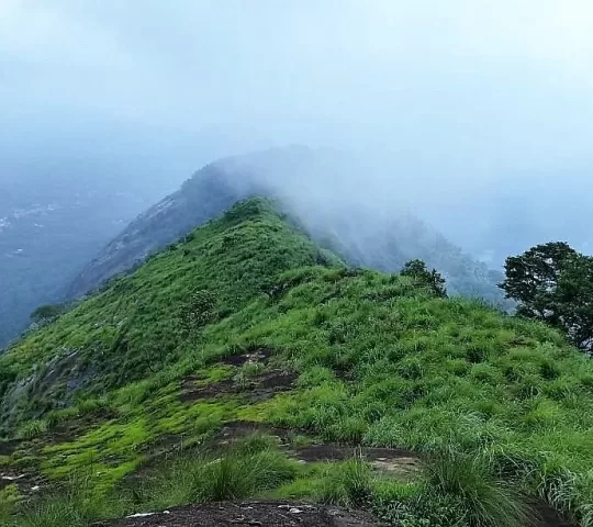 Kattadikadavu View Point