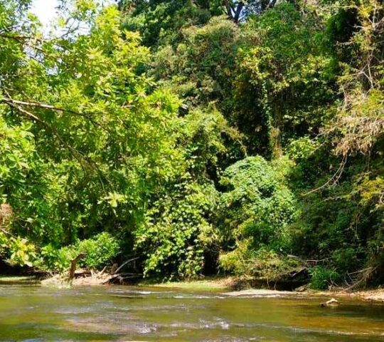Illithodu Eco Tourist Spot