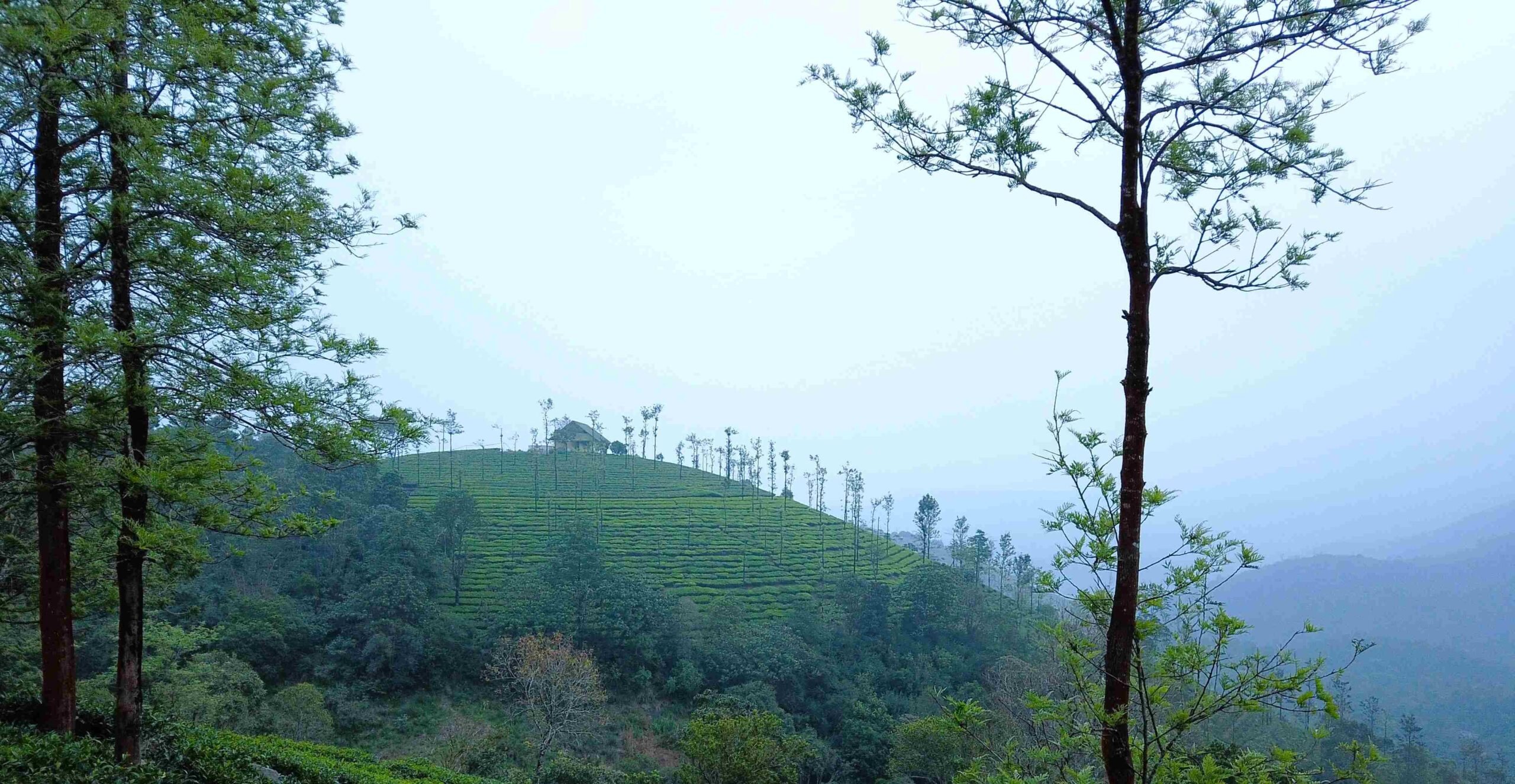 Kottayam