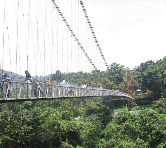 Thumboormuzhi Hanging Bridge