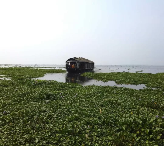 Kumarakom Backwaters