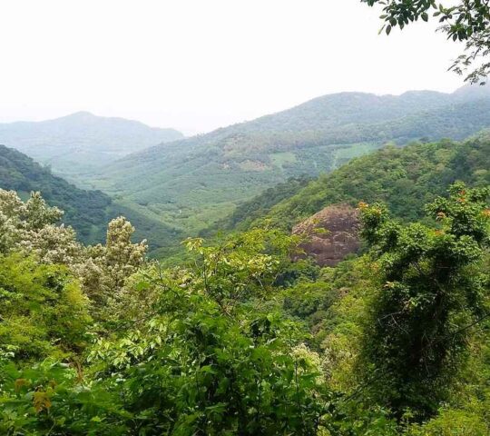 Nedumpara Peak