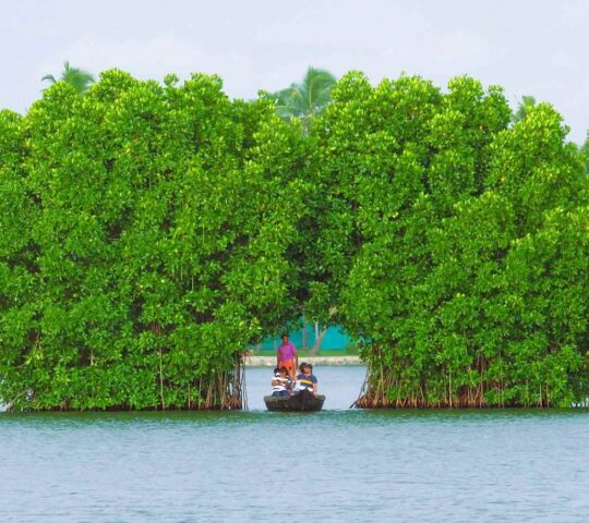 Munroe Island