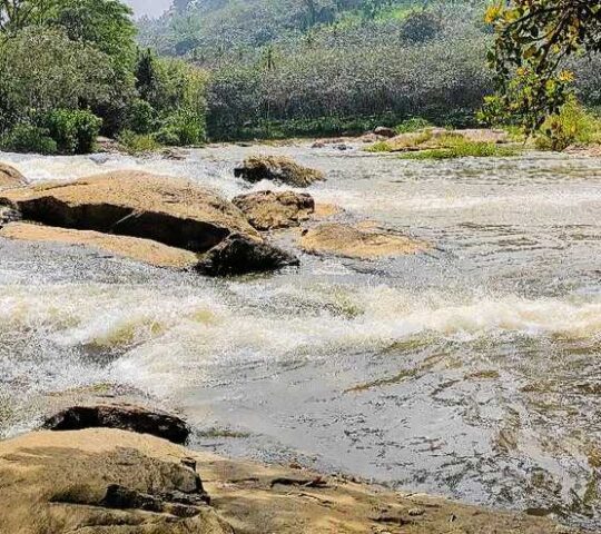 Vattathil Waterfall