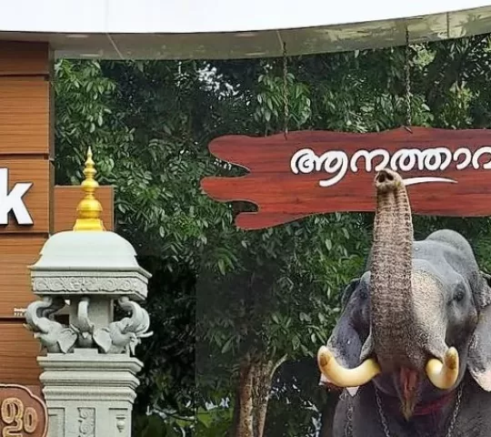 Kaveri Elephant Park