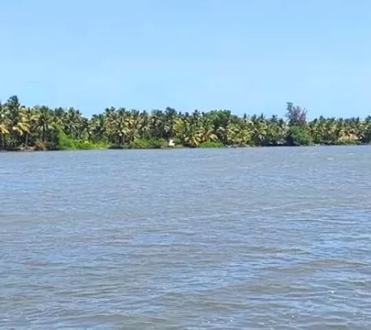 Kayamkulam Kayal
