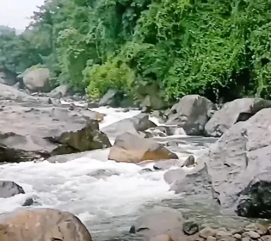 Marippuzha