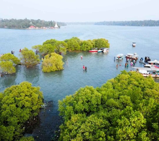Sambranikodi