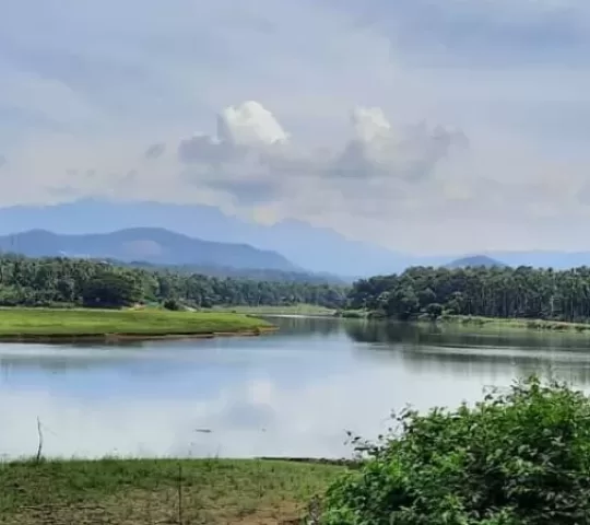 Chaliyar River