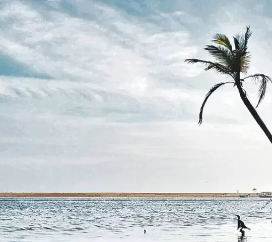 Golden Sand Beach