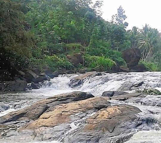 Neyyar River