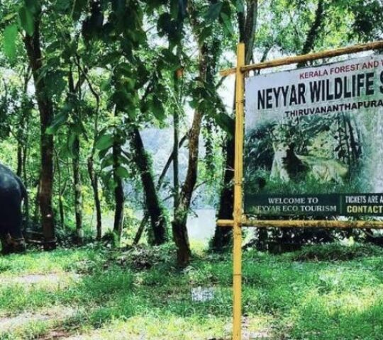 Neyyar Wildlife Sanctuary