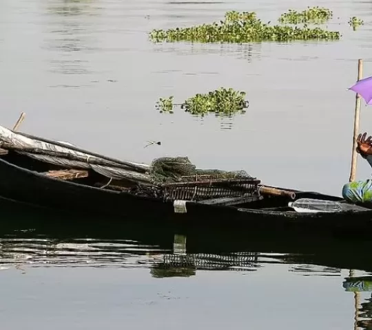 Punnamada Lake