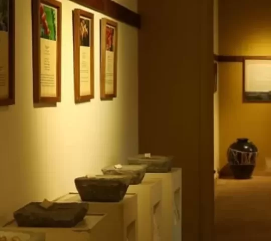 Sahyadri Museum