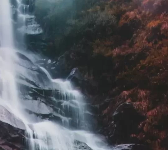 Aruvikuzhy Waterfalls Thiruvalla
