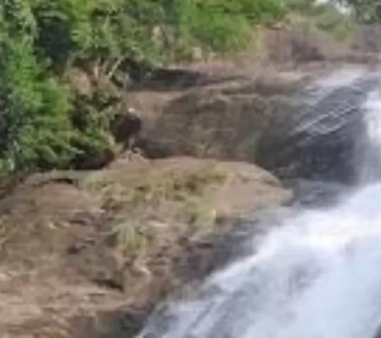 Elappally Waterfalls