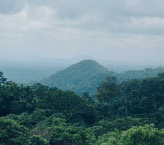 Kattadipara View Point