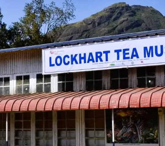 Lockhart Tea Museum