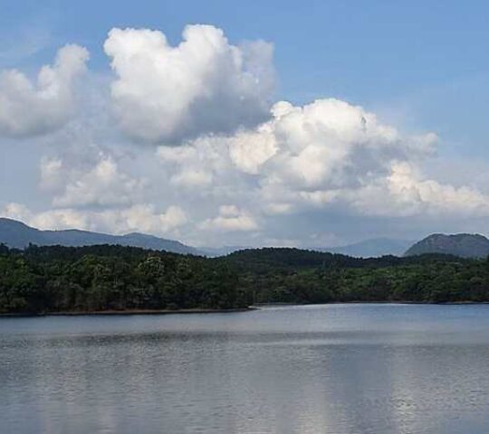 Malankara Dam