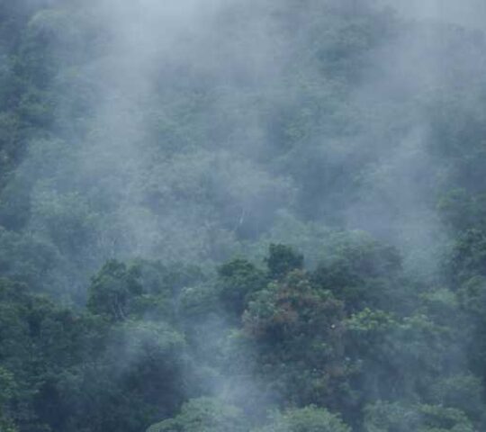 Maniyanthram Hill Top