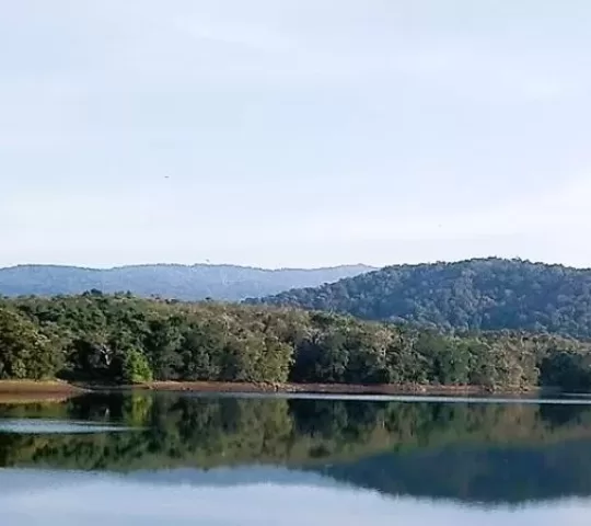 Peechi-Vazhani Wildlife Sanctuary