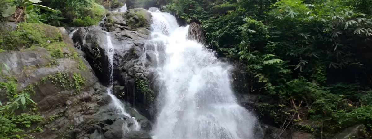 Poochakulam Waterfalls • Entry Fee, Timings, Location, To Do