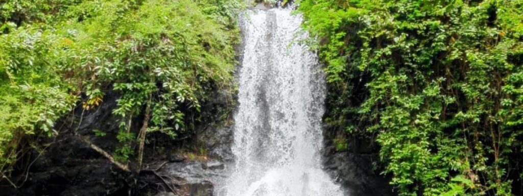 Thiriyakkayam Waterfall