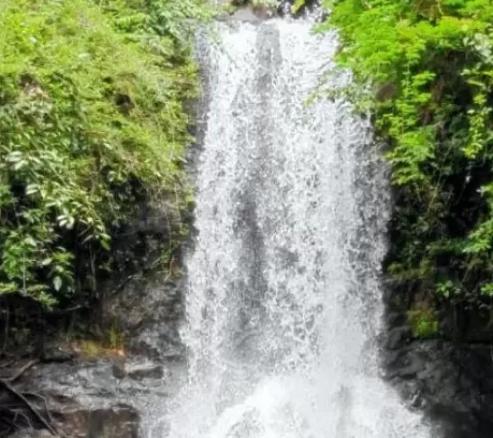 Thiriyakkayam Waterfall