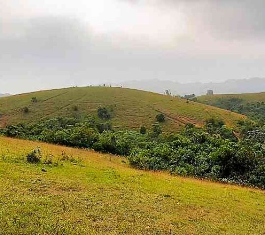 Vagamon Meadows