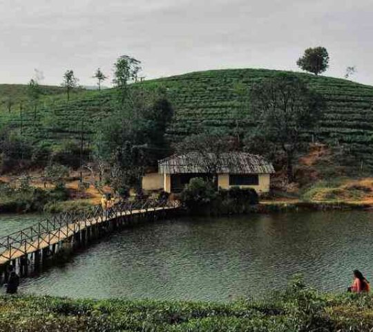 Vagamon Meadows Lake