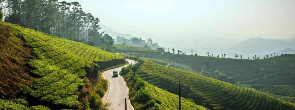 Pallivasal Tea Estate