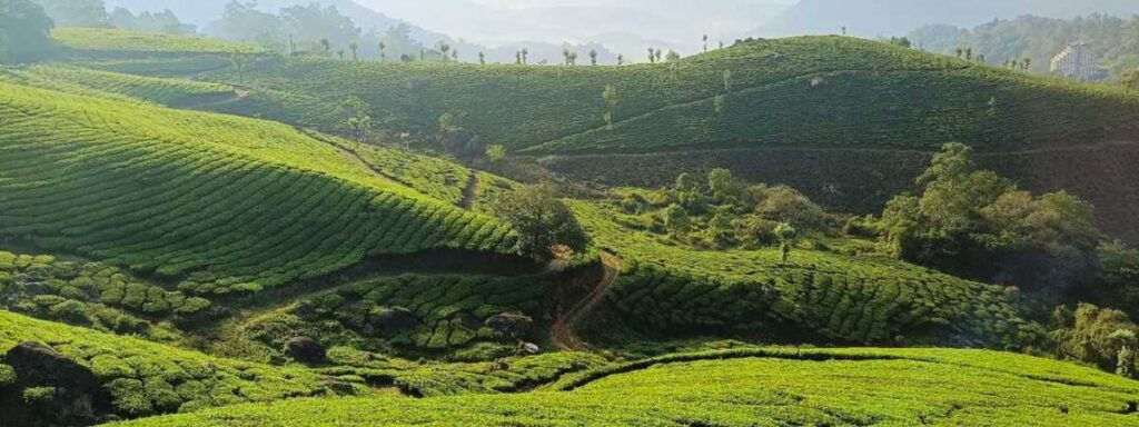 Second Mile View Point in Munnar