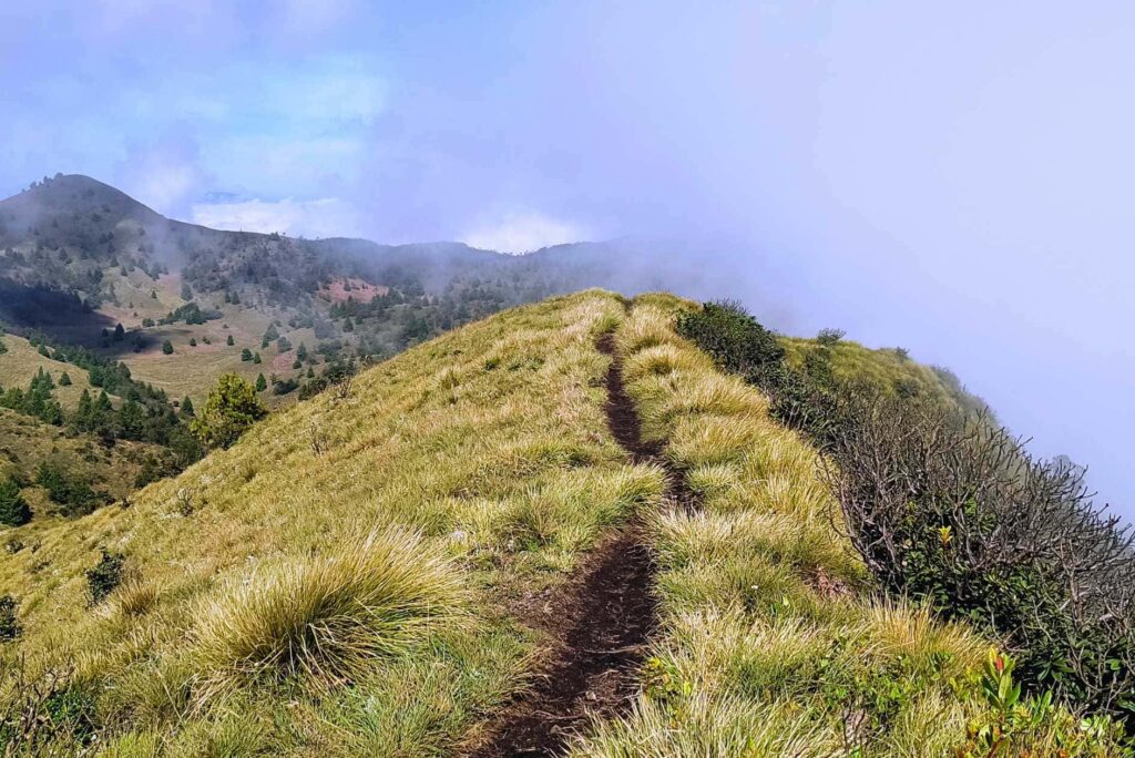 Meesapulimala Trekking: A Breathtaking Adventure in Munnar