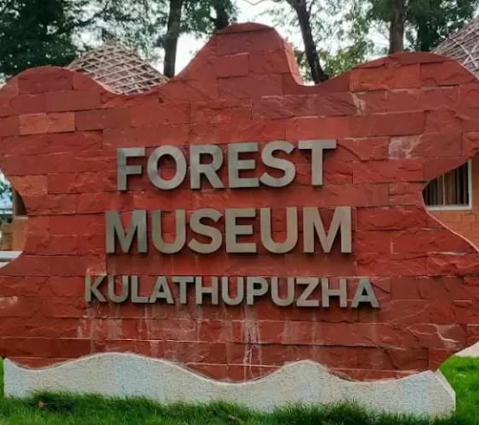 Kulathupuzha Forest Museum