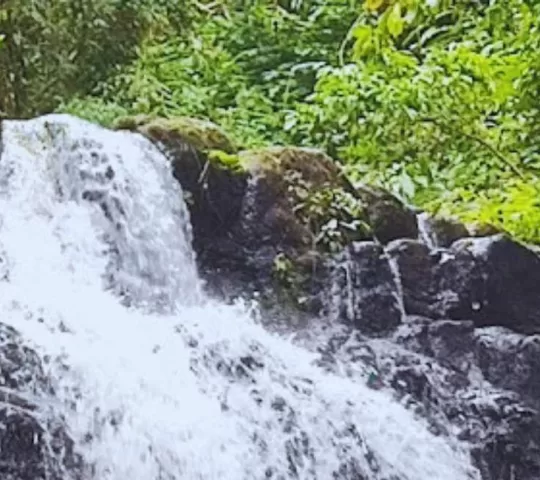Neer Veezhcha Waterfalls